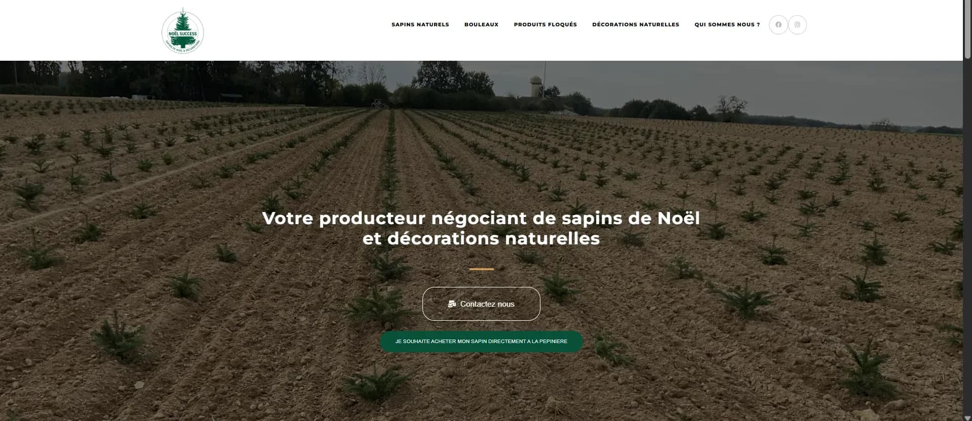 Refonte site web WordPress décoration et événementiel Noël - Webomax